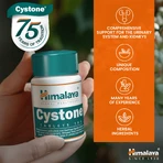 Cystone, 2 × 100 Tabletten, Himalaya