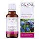Gemmo-Mazerat Heidelbeere Dr. Koll Vaccinium Myrtillus Tropfen, 50 ml Tropfen