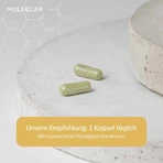 Moleqlar Longevity Spermidine Pro, 60 cápsulas