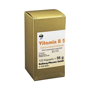 Vitamin B5 Kapseln, 120 St Kapseln