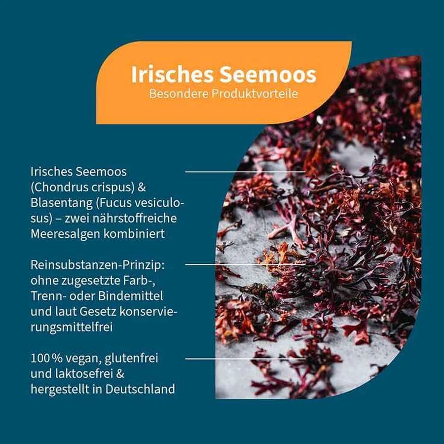 Irisches Seemoos mit Blasentang Kapseln, 120 St Kapseln