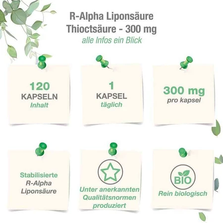 Gélules d'acide R-alpha-lipoïque 300 mg avec acide thioctique, 120 gélules