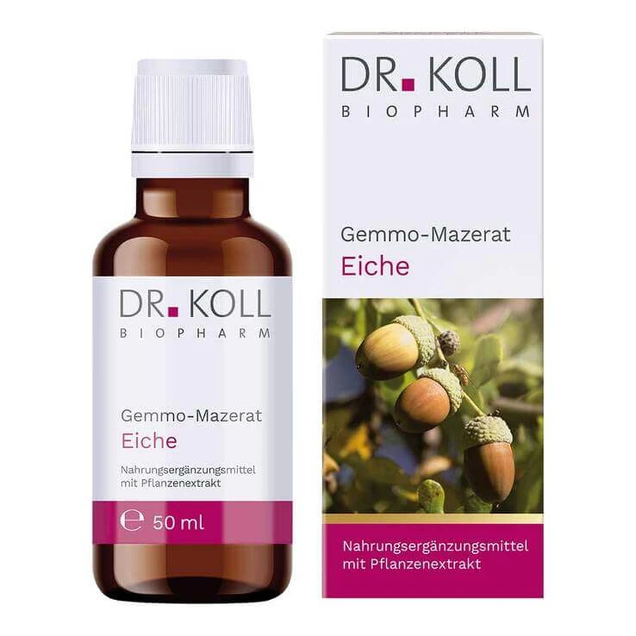 Teinture de bourgeons de chêne de Koll (Quercus pedunculata), 50 ml, gouttes