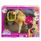 Papusa Barbie Mysteries, Calut cu sunete si accesorii, 3 ani+, Mattel