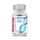 Evozyme, 60 Kapseln, Evogen