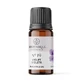 Ulei aromat, nr 19, Violeta, 10 ml, Light Candel Art