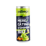 Bio-Erfrischungsgetränk aus Äpfeln, Sanddorn und Ingwer, 250 ml, Katinola