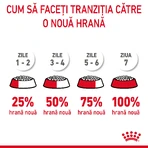 ROYAL CANIN Hair & Skin Care Adult, dry cat food, skin & coat, 4 kg