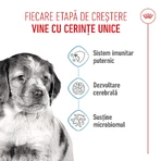 ROYAL CANIN Medium Puppy, hrană uscată câini junior, 3kg
