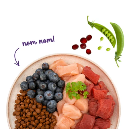 SANABELLE Adult, Strauß und Heidelbeeren, Trockenfutter für Katzen, 400 g
