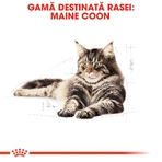 ROYAL CANIN Maine Coon Adult, dry cat food, 4 kg