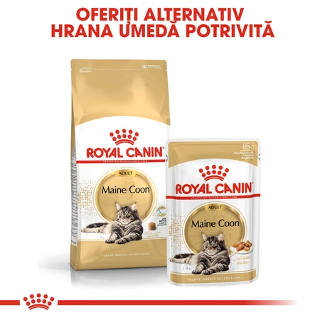 ROYAL CANIN Maine Coon Adult, dry cat food, 4 kg