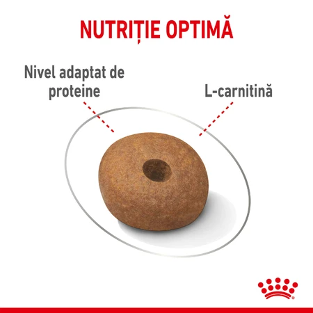 ROYAL CANIN Medium Light Weight Care Adult, droogvoer voor honden, voor gewichtsbeheersing, 3 kg