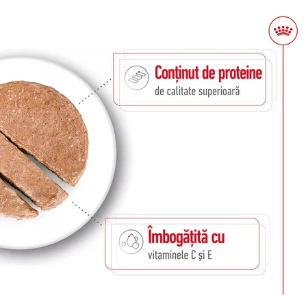 ROYAL CANIN Medium Adult hrană umedă câini (pate), 410g
