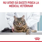 ROYAL CANIN Appetite Control Care: pienso seco para gatos adultos para el control del apetito, 3,5 kg