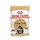 ROYAL CANIN Maine Coon Adult, wet cat food (in sauce), 85g
