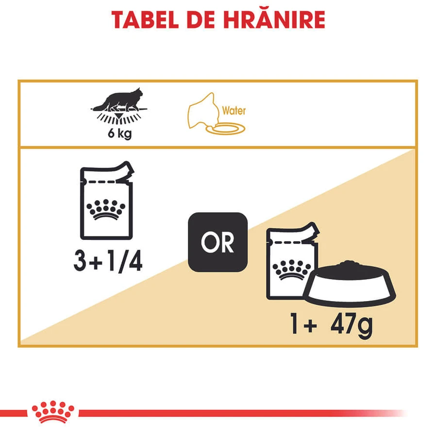 ROYAL CANIN Maine Coon Adult, wet cat food (in sauce), 85g