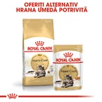 ROYAL CANIN Maine Coon Adult, wet cat food (in sauce), 85g