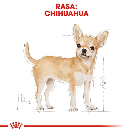 ROYAL CANIN Chihuahua Adult, dry dog food, 1.5 kg
