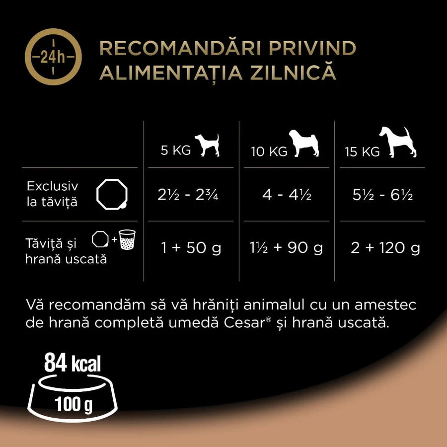 CESAR Country-Style Stoofpotje, kalkoen, rundvlees en kruiden, nat hondenvoer in een bakje (in eigen sappen), 150 g