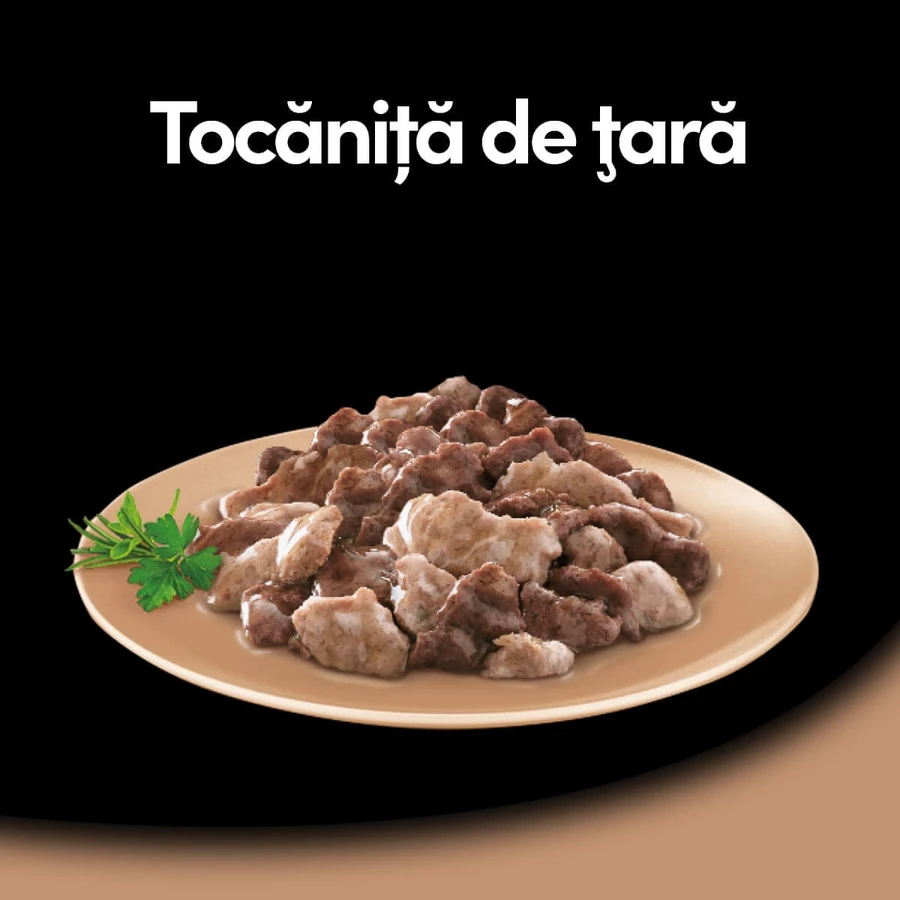 CESAR Country-Style Stoofpotje, kalkoen, rundvlees en kruiden, nat hondenvoer in een bakje (in eigen sappen), 150 g