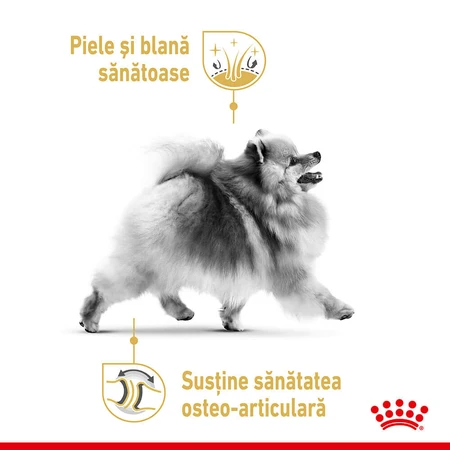 ROYAL CANIN Pomeranian Adult, dry dog food, 1.5 kg