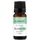 &#196;therisches Rosmarin&#246;l, 10 ml, Zanna