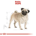 ROYAL CANIN Pug Adult, droogvoer voor honden, 1,5 kg
