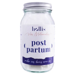 HOLLIS CAPSULES VOOR DE POSTNATALE VERZORGING 90 CAPSULES