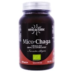 HIFAS DA TERRA MICO-CHAGA 70 KAPSELN