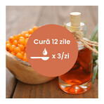 Catina Sirup mit Honig und Propolis, 200 ml, Faunus Plant