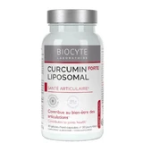 BIOCYTE CURCUMINA LIPOSOMÁTICA FORTE 30 CÁPSULAS