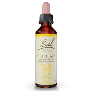 BACH-BLOESEMREMEDIE GENTIAN NR. 12 20 ML