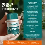 Cystone, 4x100 comprimate, Himalaya