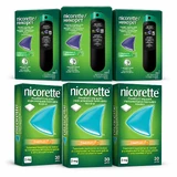 Nicorette Freshmint Spray, 1 mg, 39,6 ml + 90 Stück Kaugummi à 2 mg, McNeil