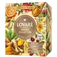 Ginger Collection Kräuterteemischung, 32 Teebeutel à 1,8 g, Lovare
