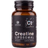 Liposomale creatine: 120 capsules, voor spieropbouw, kracht en vooruitgang in de sportschool