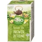 DmBio Grüner Tee und Ingwer, 40 g