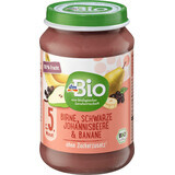 DmBio Perenpuree met krenten en bananen, 190 g