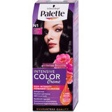 Palette Intensive Color Creme Permanent Paint N1 (1-0) Schwarz, 1 Stück