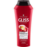 Schwarzkopf GLISS Repair &amp; Protect Color Perfector hair shampoo, 250 ml