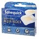 Salvequick